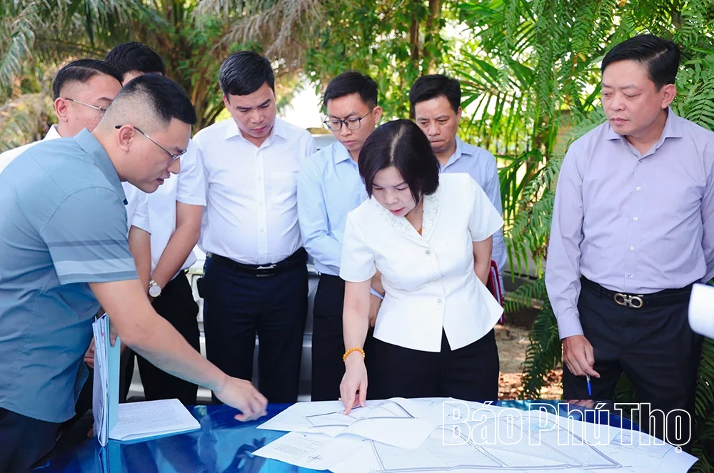 Đẩy nhanh tiến độ hoàn thiện hạ tầng kỹ thuật 2 cụm công nghiệp tại các xã Liên Minh, Phùng Nguyên