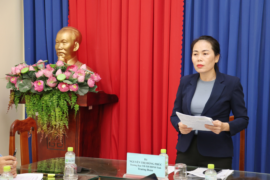 : Trưởng Ban Văn hóa - Xã hội HĐND tỉnh Nguyễn Thị Hồng Phú phát biểu chỉ đạo tại buổi làm việc