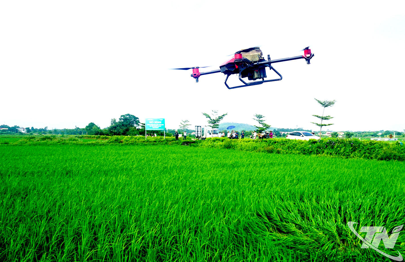 Đơn vị chuy&ecirc;n m&ocirc;n sử dụng thiết bị bay kh&ocirc;ng người l&aacute;i để phun ph&acirc;n b&oacute;n l&aacute; hữu cơ cho c&aacute;nh đồng l&uacute;a nếp Thầu dầu ở x&atilde; Ph&uacute; B&igrave;nh.