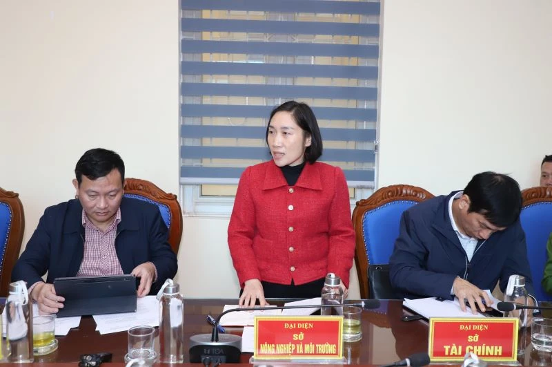 Khẩn trương xử l&yacute; t&igrave;nh trạng ph&aacute;t t&aacute;n m&ugrave;i h&ocirc;i tại b&atilde;i r&aacute;c Đ&ocirc;ng Nam