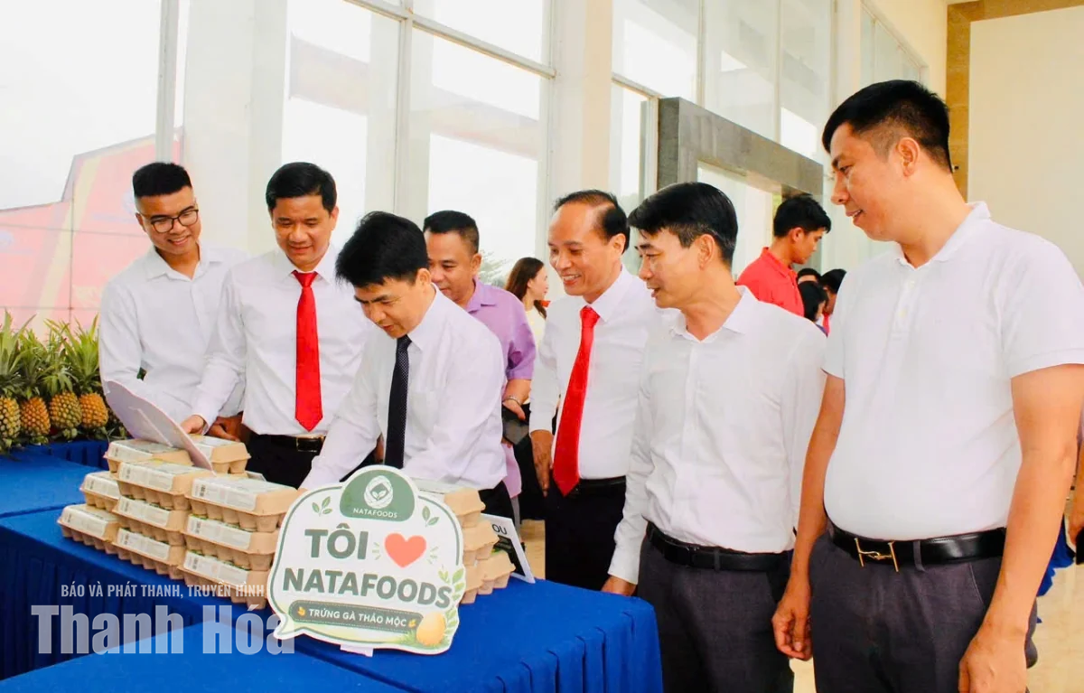 VCCI Thanh Hóa - Ninh Bình kết nối giao thương 