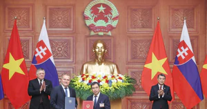 Việt Nam - Singapore mở rộng hợp tác tiêu chuẩn, tạo thuận lợi cho doanh nghiệp và thương mại- Ảnh 4.