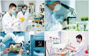 Sáng kiến Khoa học 2026: Vinh danh 15 giải thưởng vì cộng đồng- Ảnh 7.