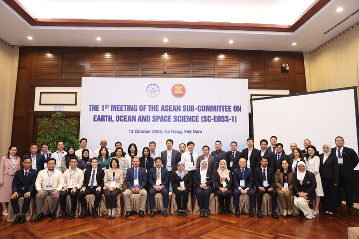 COSTI-90: 05 tiểu ban chuyên môn ASEAN họp phiên đầu tiên theo cơ cấu mới- Ảnh 6.
