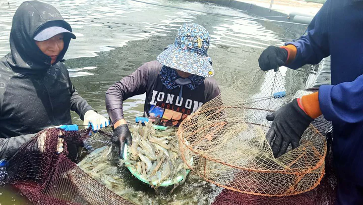 Hà Tĩnh thúc đẩy công nghiệp sinh học, nâng giá trị nông nghiệp- Ảnh 1.