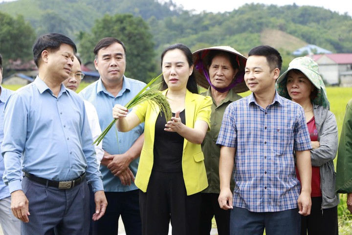 Thái Nguyên: Đưa khoa học, công nghệ và chuyển đổi số đến vùng đồng bào dân tộc thiểu số, miền núi- Ảnh 1.
