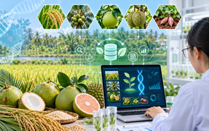 Giải mã nguồn nấm dược liệu, phát triển sản phẩm từ Tà Đùng- Ảnh 7.