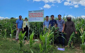 Hỗ trợ con giống, chuyển giao kỹ thuật tạo sinh kế cho đồng bào dân tộc thiểu số - Ảnh 3.