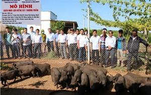Giống lúa mới tạo đà nâng cao thu nhập cho nông dân Thái Nguyên- Ảnh 7.