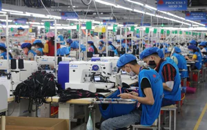 Cụm công trình nghiên cứu đá nhân tạo cao cấp được đề nghị xét Giải thưởng Nhà nước- Ảnh 10.