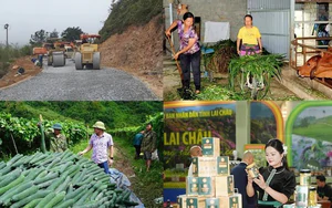 Giống lúa mới tạo đà nâng cao thu nhập cho nông dân Thái Nguyên- Ảnh 4.